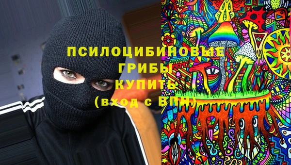 амф Абаза