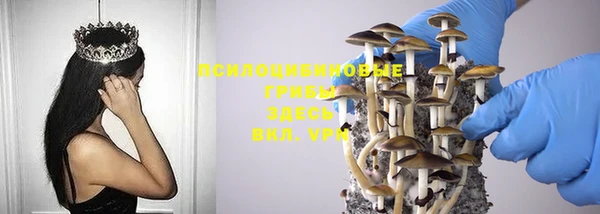 соль ск Осинники
